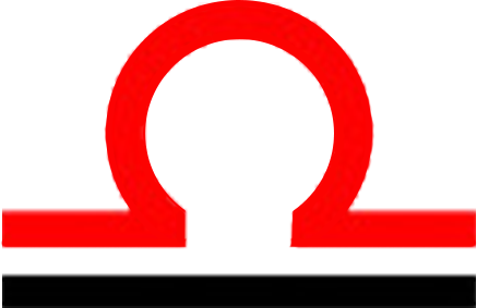 Даск Транс Сервис logo